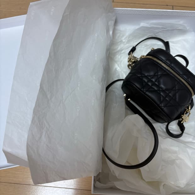 디올 베니티 가방