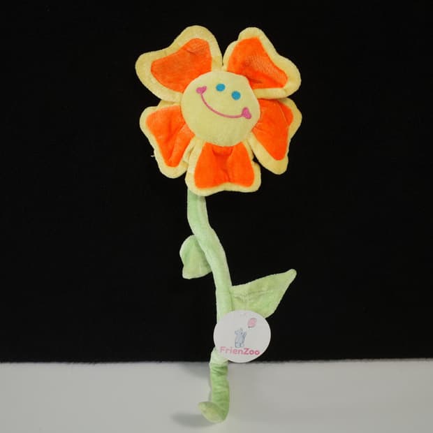 smile flower