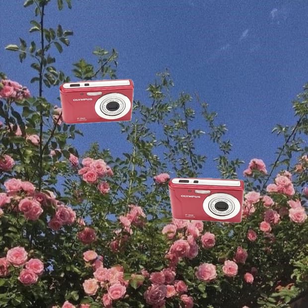입문&강추!) Olympus T-110 디카 카메라