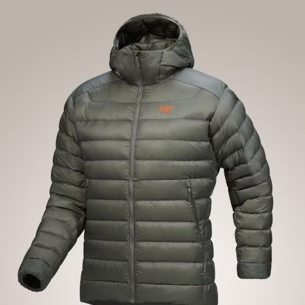 [S] 아크테릭스 세륨 후디 포리지 베르베