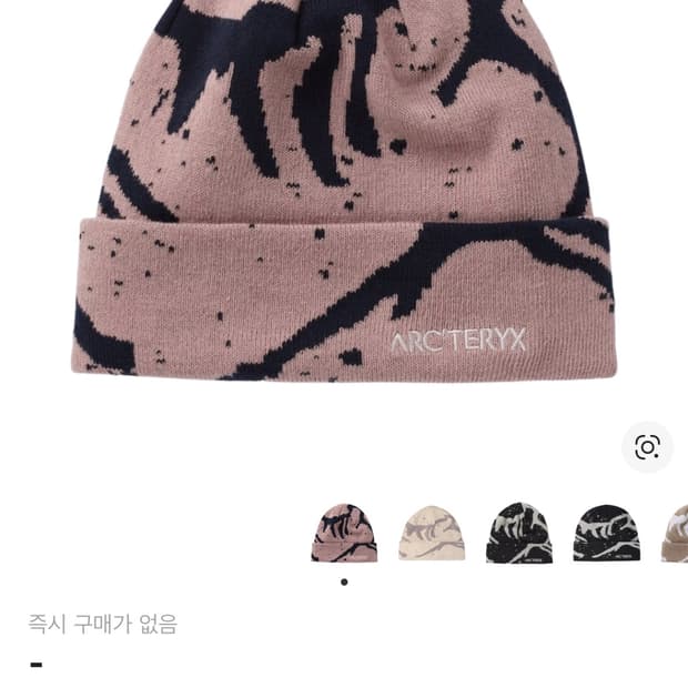 아크테릭스 그로토 토크 비니