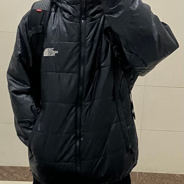 노스페이스 프리마로프트 후디자켓