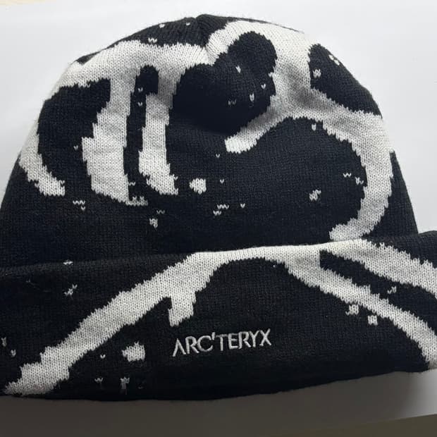 아크테릭스 비니