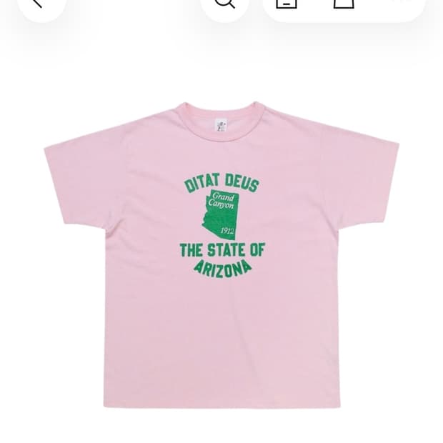 [XS]컬렉트피시스 아리조나 collect pieces pink 