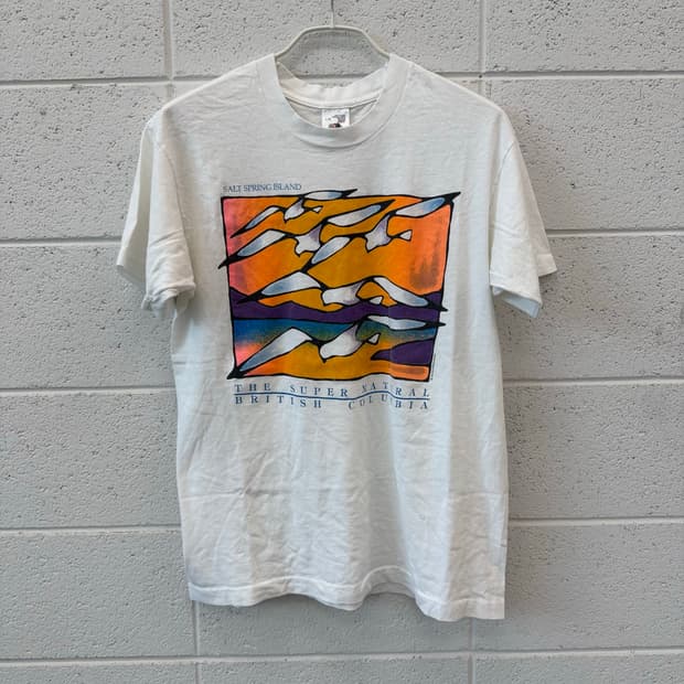 90s Vintage Fruit Of The Loom