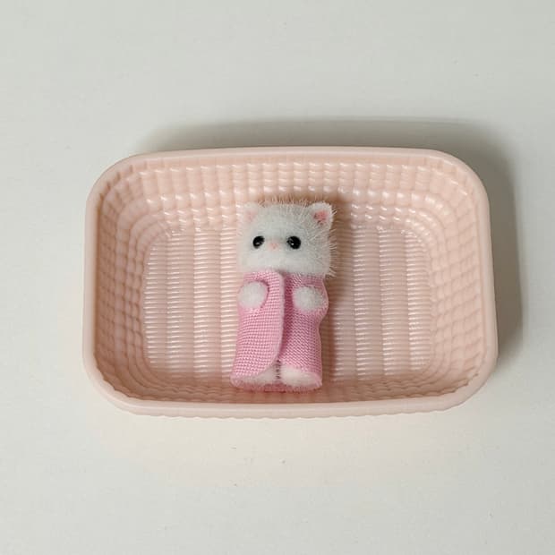실바니안 패밀리 아기 핑크 페르시안 고양이
