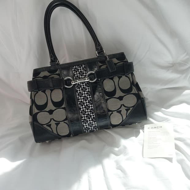 COACH signature C purse Hamptons Carryal