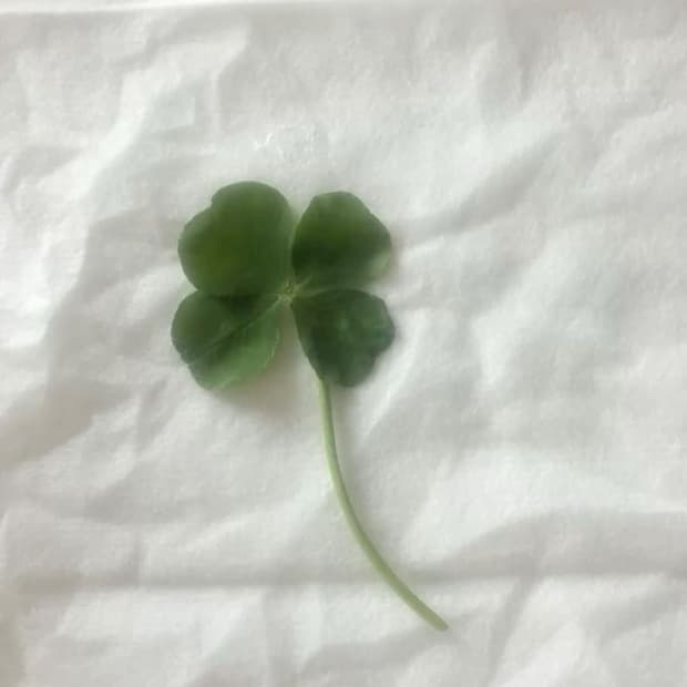 요츠바님 결제창