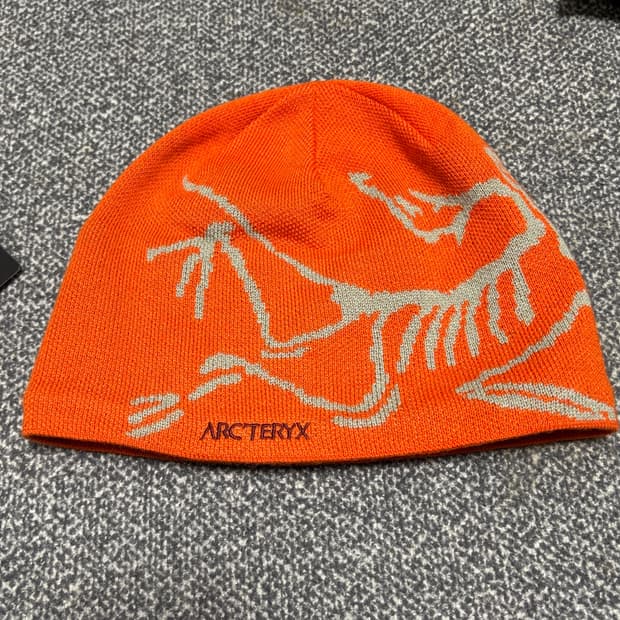 아크테릭스 버드 헤드 토크 페놈