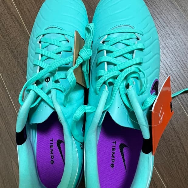 나이키 티엠포 280 새거