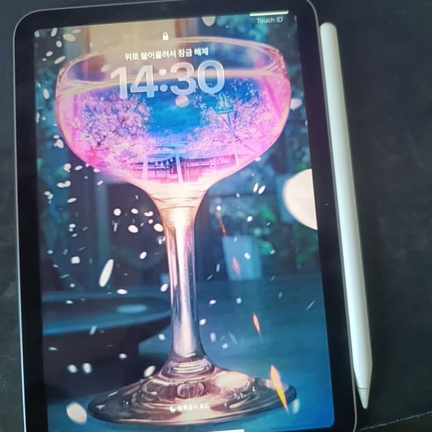 (배터리 효율81%)아이패드 미니6 256 wifl+ 애플펜슬2