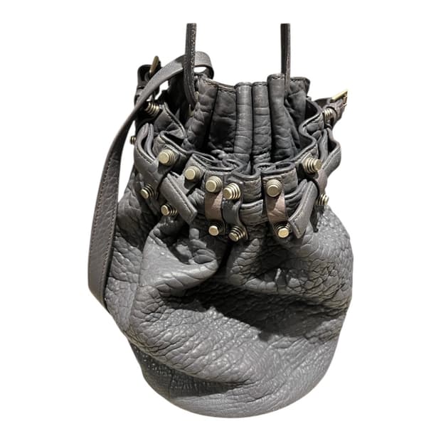 알렉산더왕 디에코 버킷백 그레이