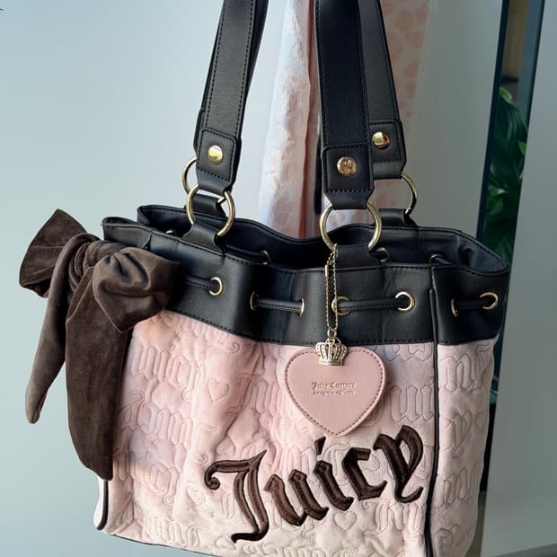 쥬시꾸뛰르 벨벳 데이드리머 숄더백 빈티지 갸루 핀터깔