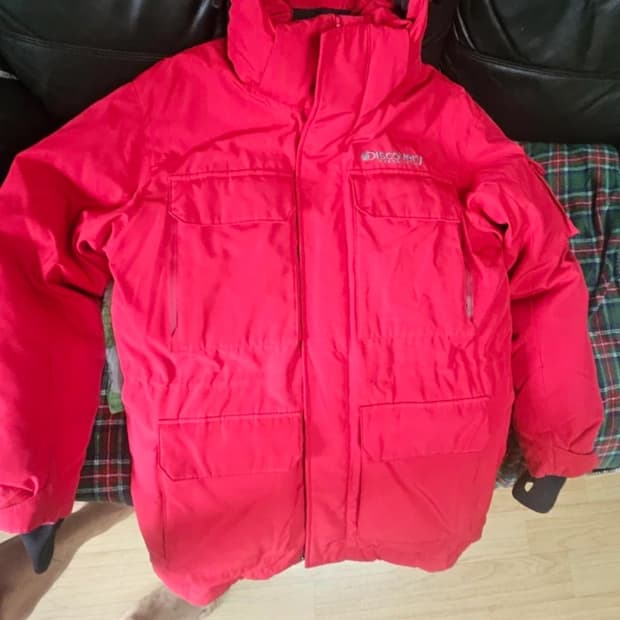 디스커버리 구스