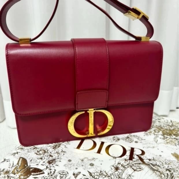 디올 몽테인 백 버건디