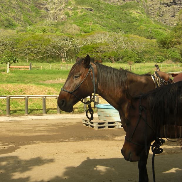 카시오 엑슬림 EX-Z1080 디카 디지털카메라 EXILIM