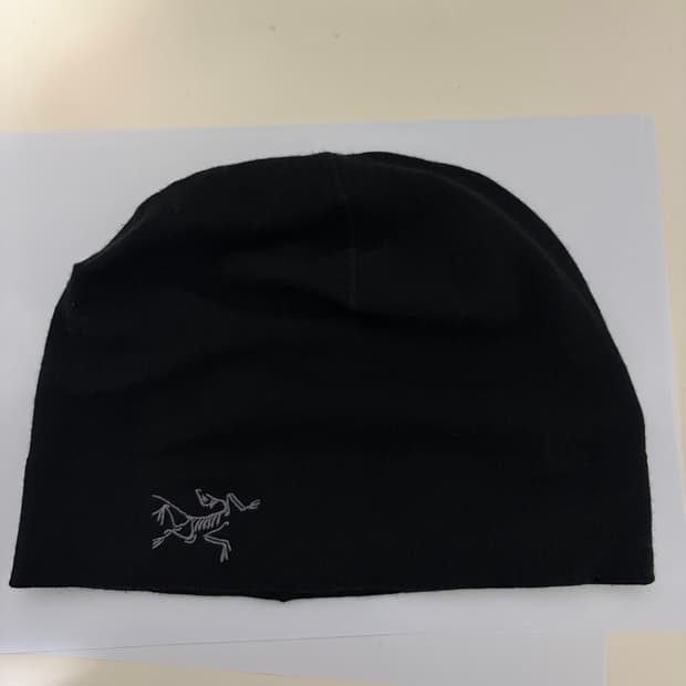 아크테릭스 비니