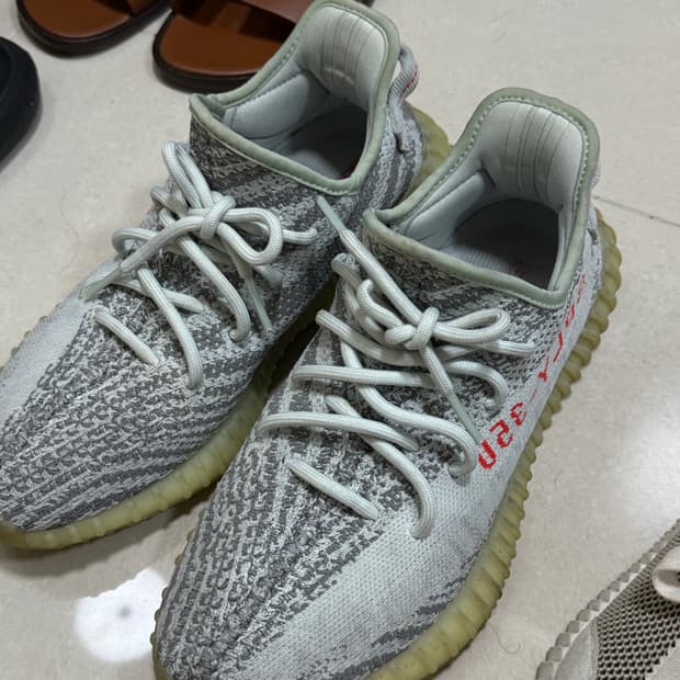 이지부스트 블루틴트 260