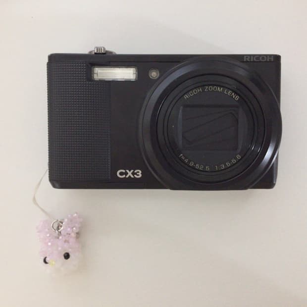 리코 cx3 ricoh 키키 디카