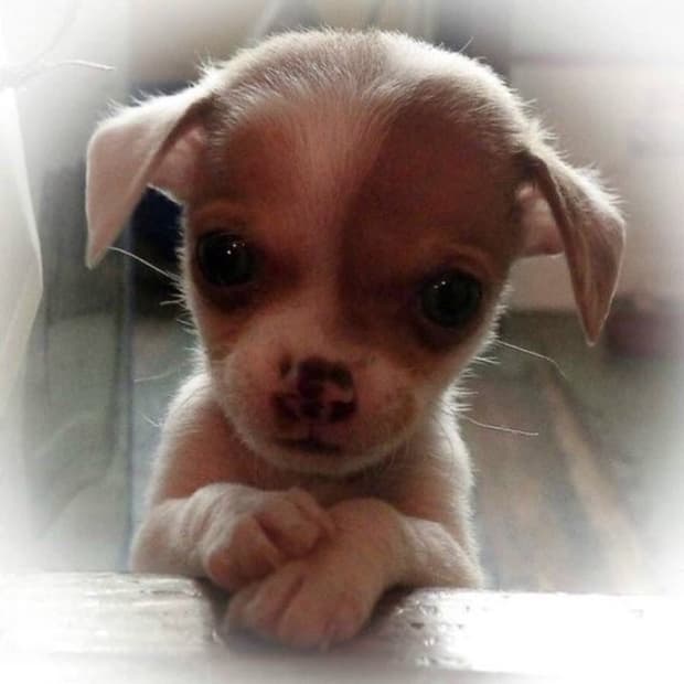 개인결제창입니다!