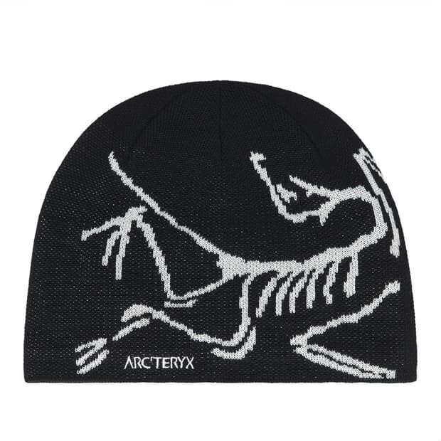 아크테릭스 비니 버드 헤드 토크 오르카