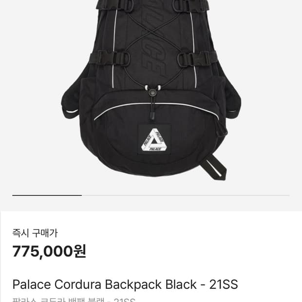 팔라스 21ss 백팩 블랙