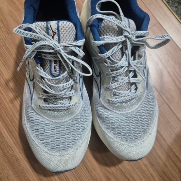 미즈노 웨이브 라이더27 270