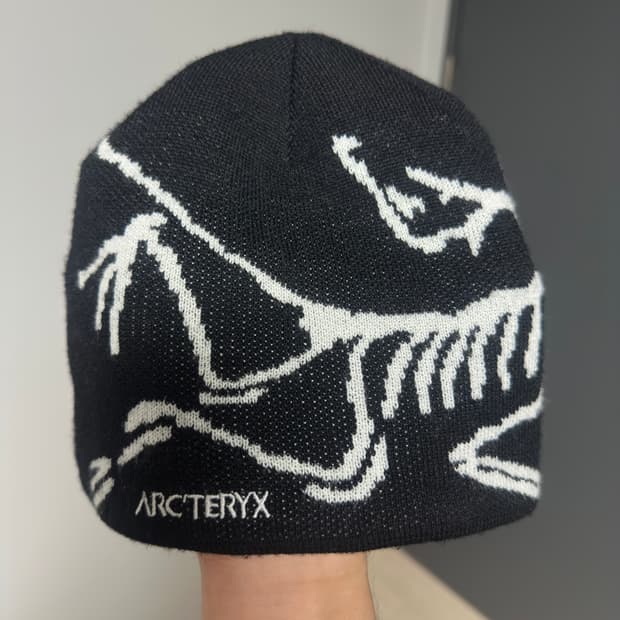 아크테릭스 비니