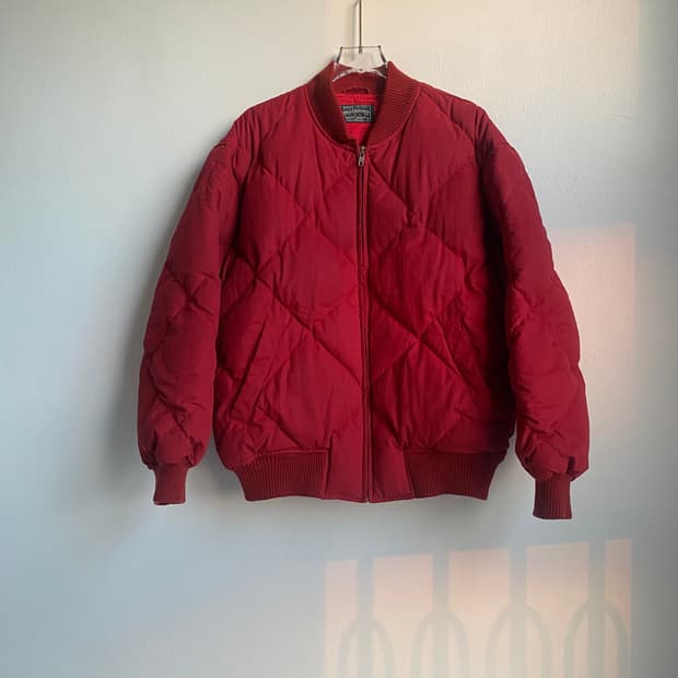 🌊polo country skyliner down jumper