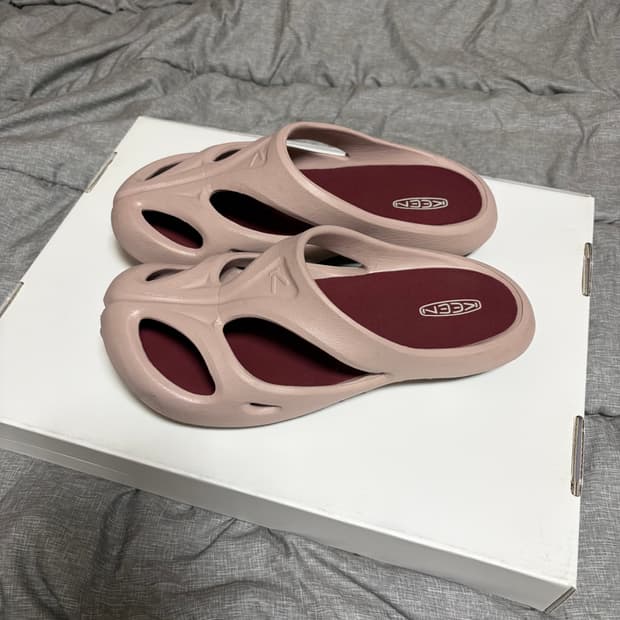 킨 샨티 펀 메를로 240