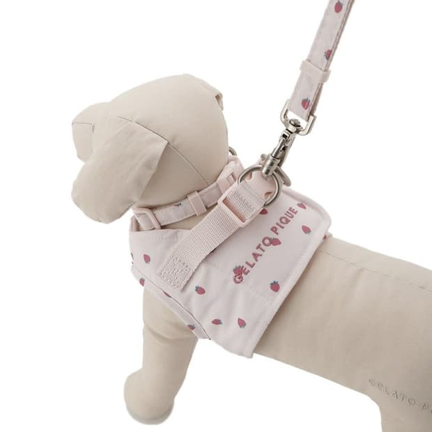 일본 젤라또피케 스트로베리 에디션 강아지 L 사이즈하네스 + 리드줄 세트