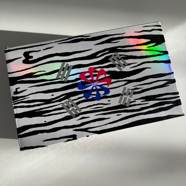 나이키 대한민국 축구화 270