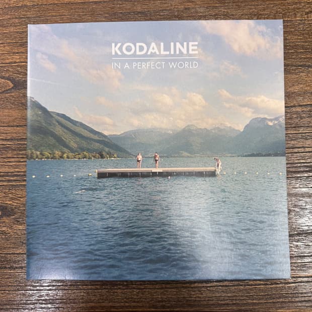 Kodaline(코다라인) 1집 LP