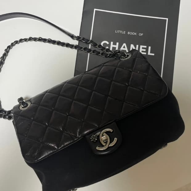 샤넬 크루즈 컬렉션 가방