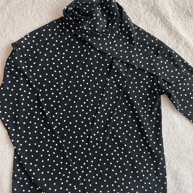 하이넥 도트블라우스