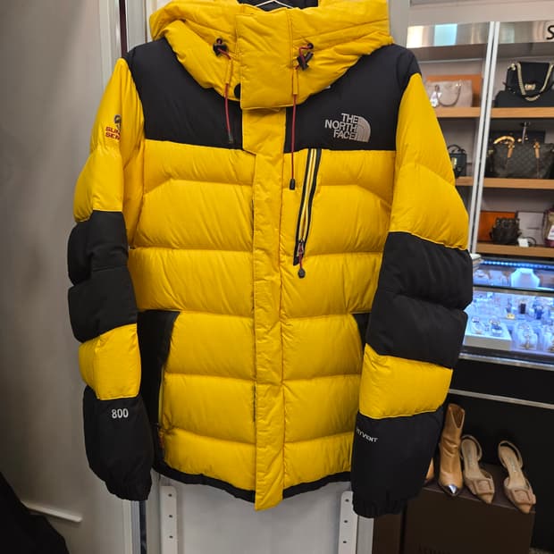 노스페이스 써밋 시리즈 800 필파워 구스다운 패딩 