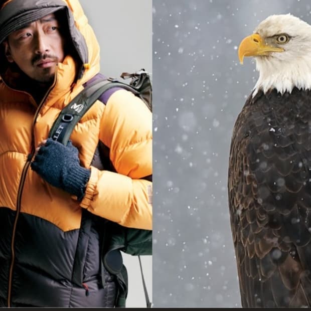 밀레 거위털 겨울패딩 남자95