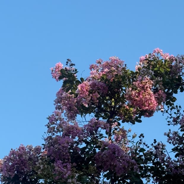 구매자님 개인 결제창