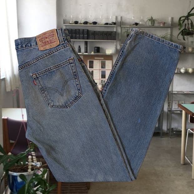 리바이스 550 (33) AB1165