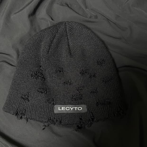 lecyto 비니