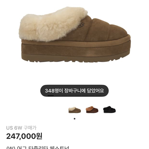 어그 타즐리타 체스트넛 240 상태 매우좋음 세탁완료