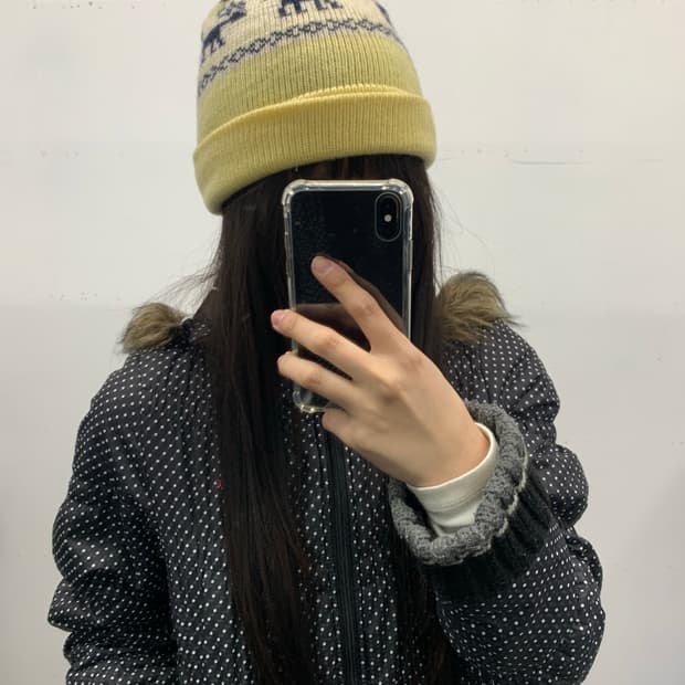 레몬 노르딕 비니