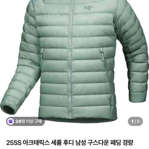 아크테릭스 세륨 후디 스톤 그린 XL