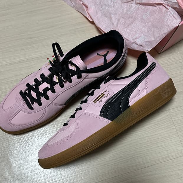 푸마 팔레르모 핑크 새제품 295