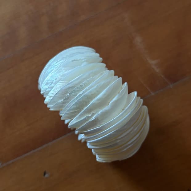 shell disc bangle