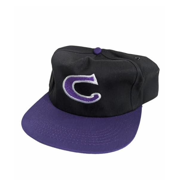 90s Camel cap