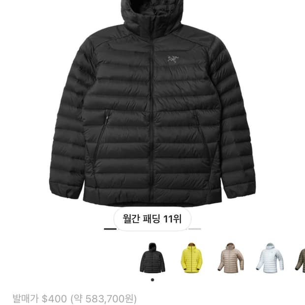 아크테릭스 세륨 후디