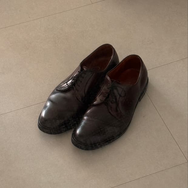 Alden990 Color8 Shell Cordovan PTB 10.5D