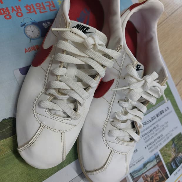 코르테즈 포레스트검프 275