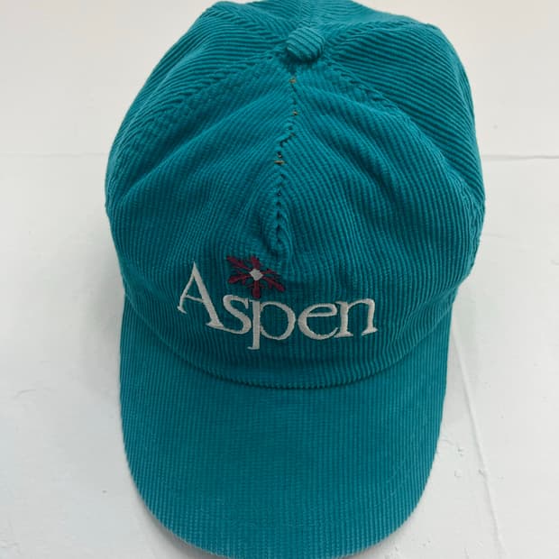 aspen 빈티지 코듀로이 볼캡 틸